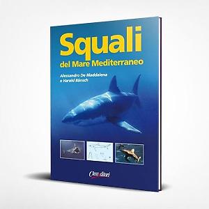 Squali del mare Mediterraneo
